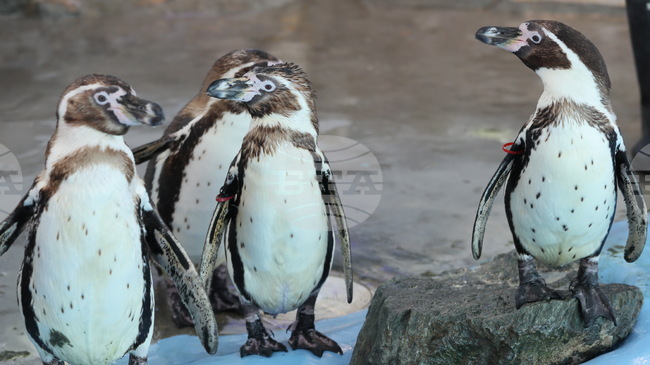 Weather in November: Temperatures Down to Minus 5C, Up to 25C