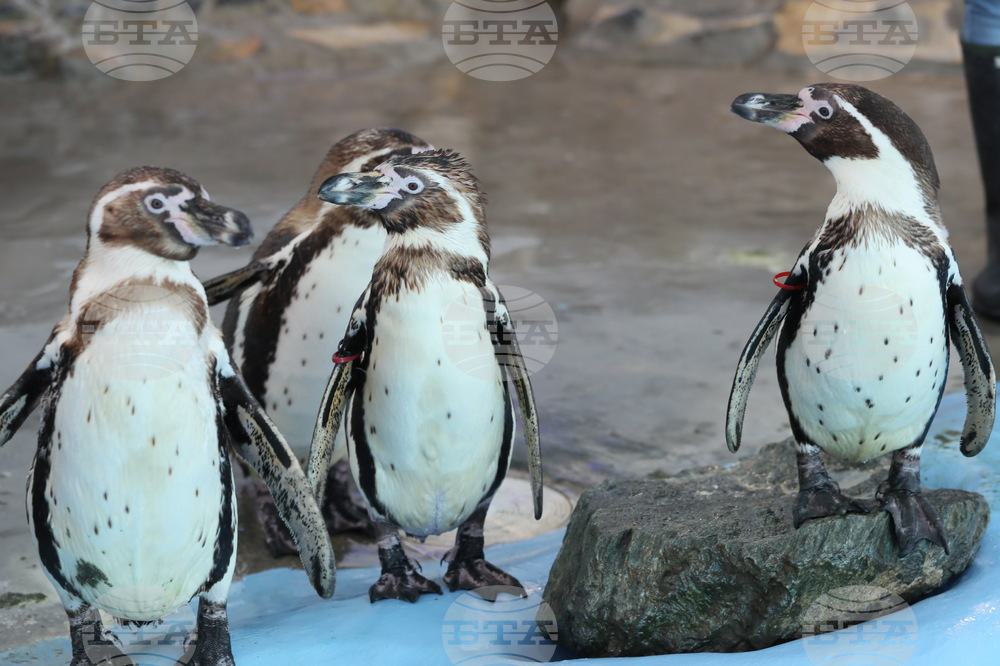 Weather in November: Temperatures Down to Minus 5C, Up to 25C