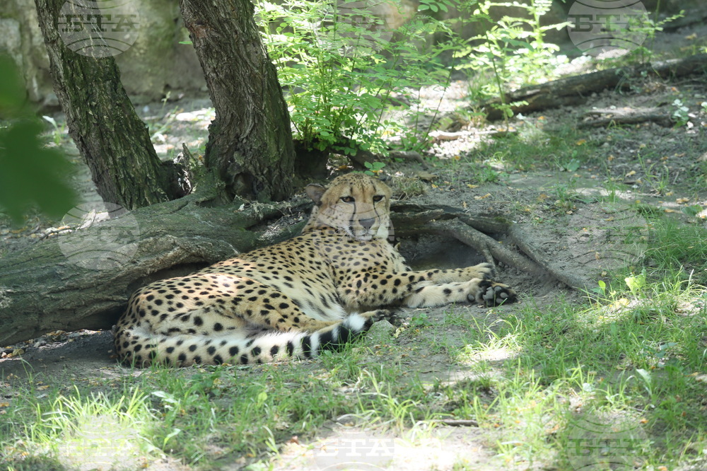 The Weather on August 1