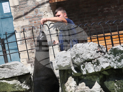 Сърбия - зоопарк - топло време