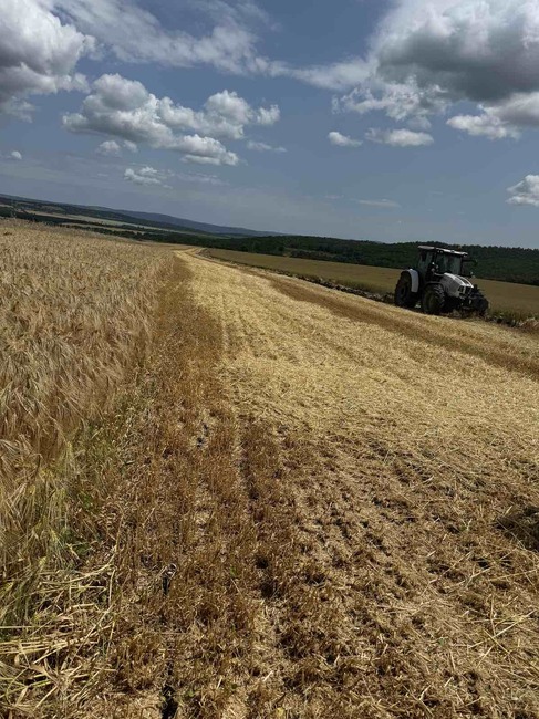 Добивите от жътвата в Югоизточна България са под обичайните нива, а качеството на продукцията е сериозно компрометирано, съобщават от Българския фермерски съюз
