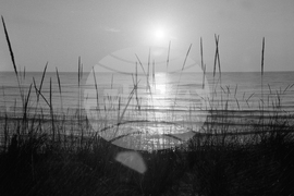 Морски изгрев - 1962 година