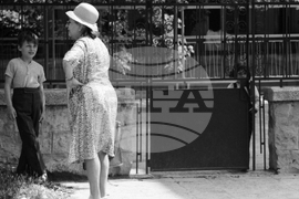 Лятна София