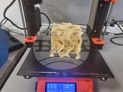 Варна - университет - медицина - лаборатория