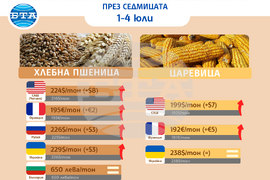 Цени на основни зърнени стоки по световните борси през седмицата 1-4 юли