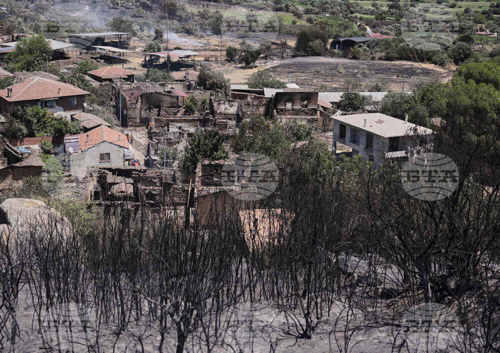 Turkey Wildfire