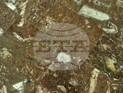 Букурещ - Фосили - метеростанция