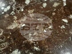 Букурещ - Фосили - метеростанция