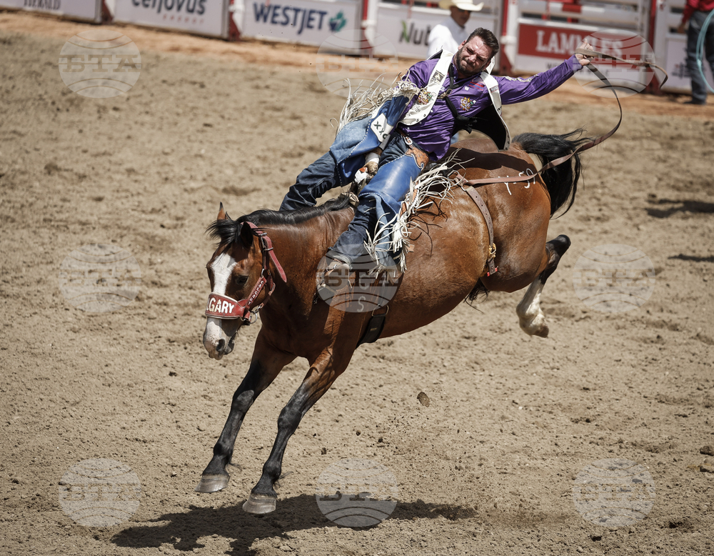 Canada Stampede Rodeo
