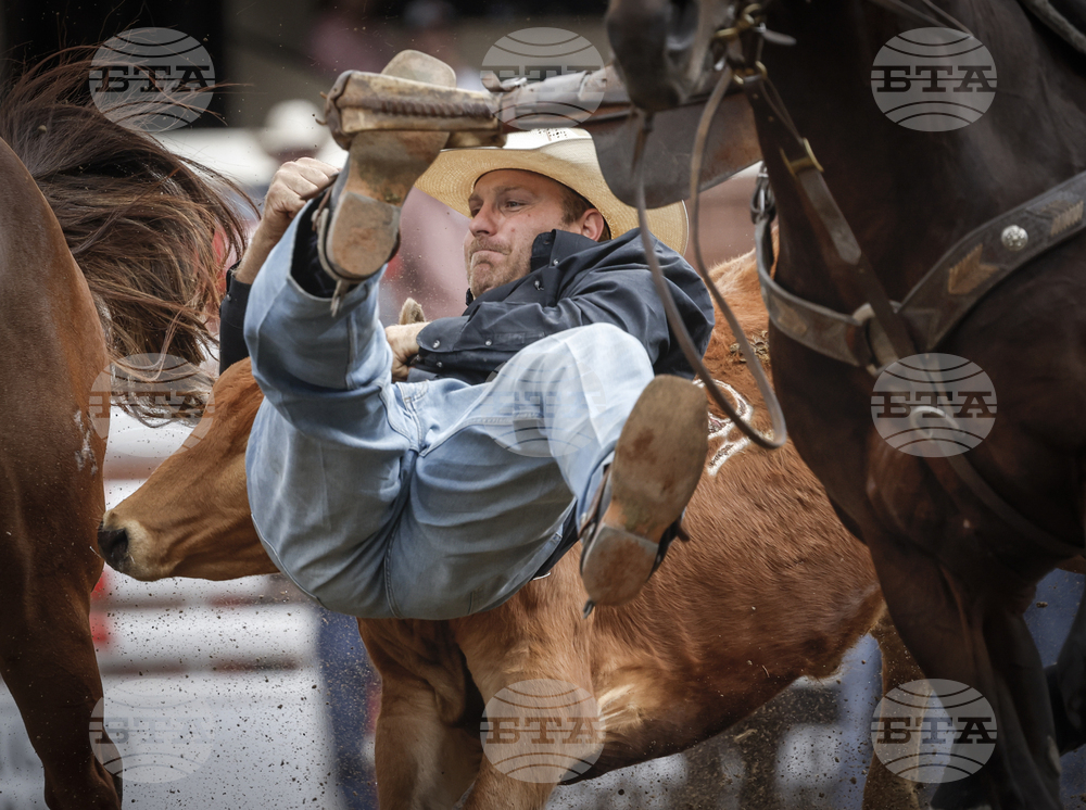 Calgary Stampede Rodeo
