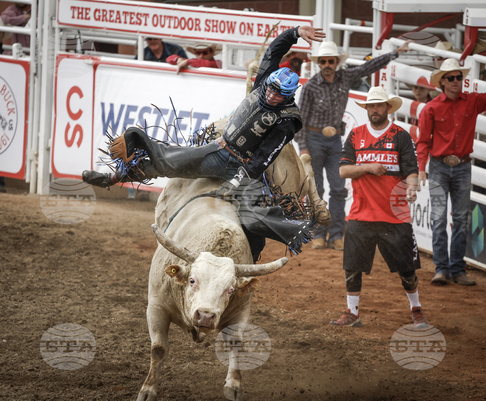 Calgary Stampede Rodeo
