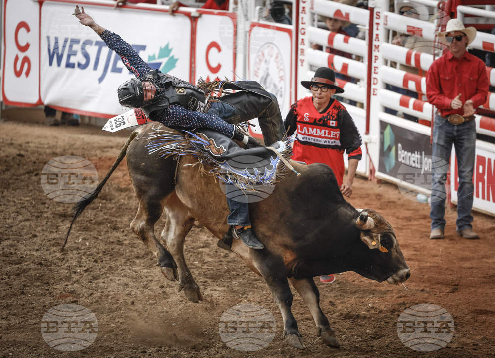 Calgary Stampede Rodeo