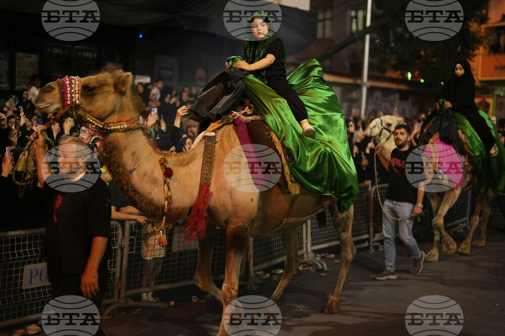 Turkey Ashoura