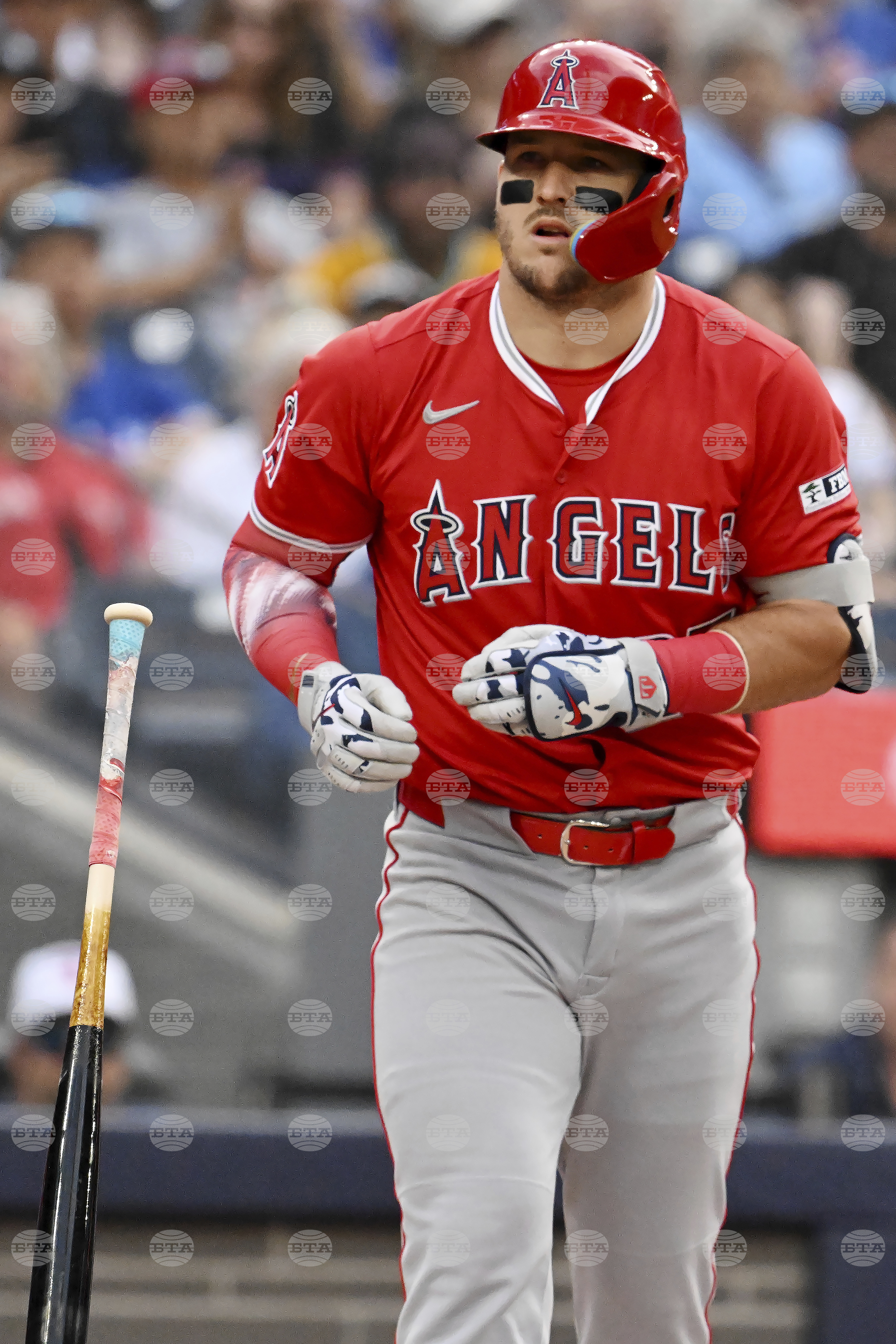 Angels Blue Jays Baseball