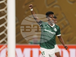 CWC Palmeiras Chelsea Soccer