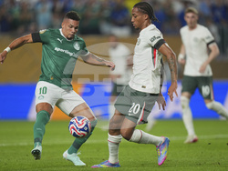 CWC Palmeiras Chelsea Soccer