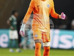 CWC Palmeiras Chelsea Soccer