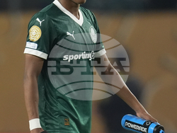 CWC Palmeiras Chelsea Soccer