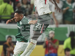 APTOPIX CWC Palmeiras Chelsea Soccer