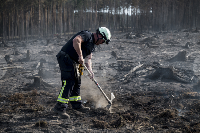 Евакуирано е поредното населено място в Германия заради големите горски пожари