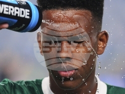 APTOPIX CWC Palmeiras Chelsea Soccer