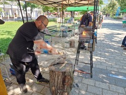 Стара Загора - Ножаро-ковашки пленер