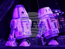 Aniventure Comic Con 2025