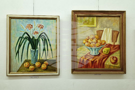 Монтана - Димо Троянов - изложба