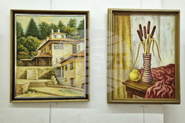 Монтана - Димо Троянов - изложба