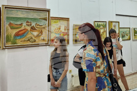 Монтана - Димо Троянов - изложба