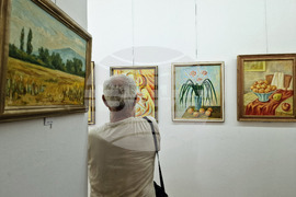 Монтана - Димо Троянов - изложба