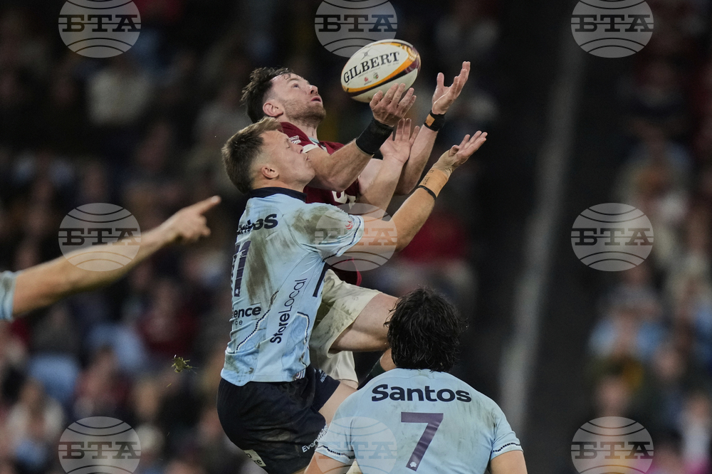 Australia Lions Rugby