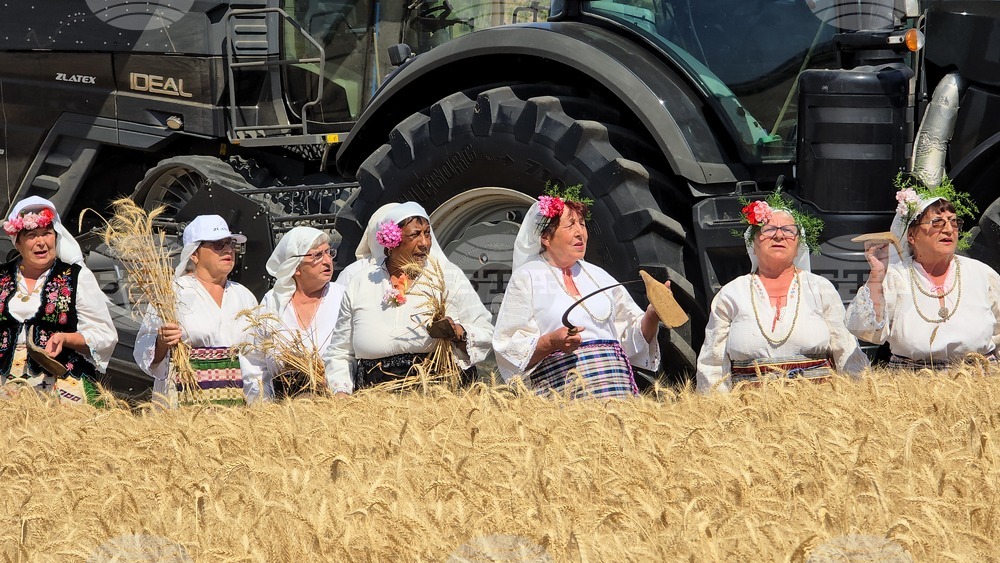 Село Камен отбелязва първия си Празник на жътвата