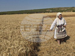 Село Камен -  Празник на жътвата