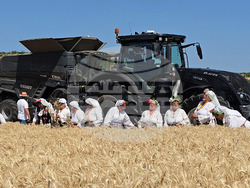 Село Камен -  Празник на жътвата