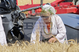 Село Камен -  Празник на жътвата
