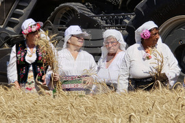 Село Камен -  Празник на жътвата
