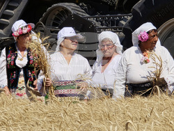 Село Камен -  Празник на жътвата