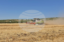 Село Камен -  Празник на жътвата