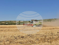 Село Камен -  Празник на жътвата