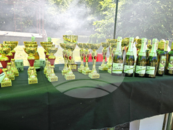 Рибарица - „Трабант фест“