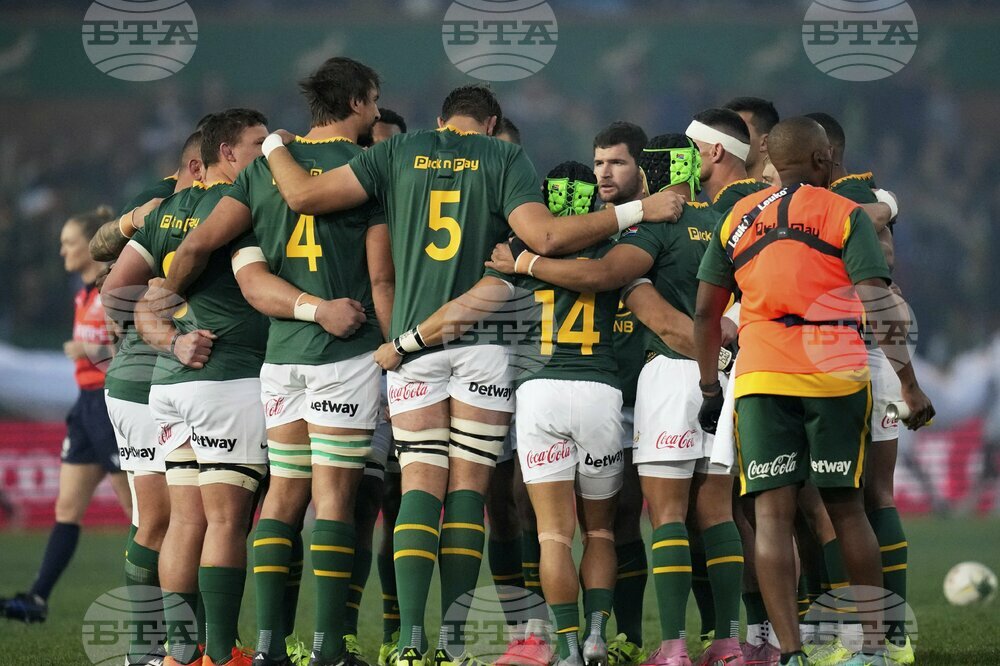 South Africa Italy Rugby