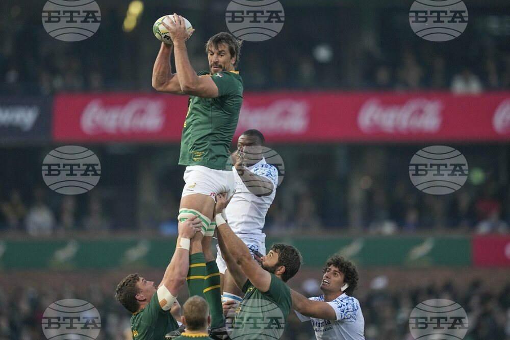 South Africa Italy Rugby
