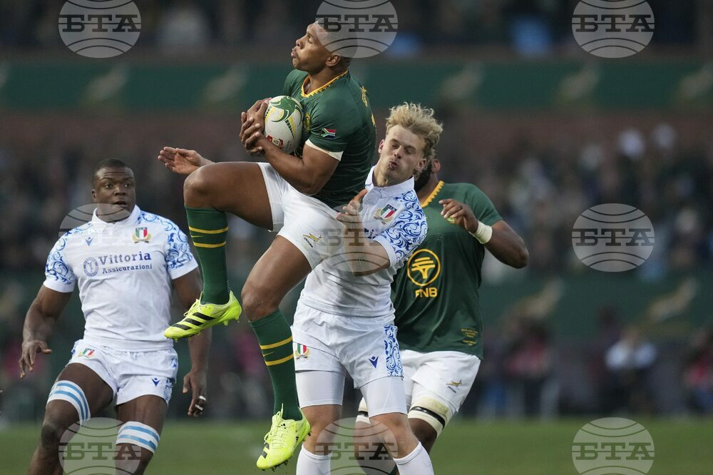 South Africa Italy Rugby