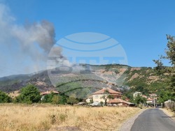 Село Звезделина - смесен горски масив - пожар