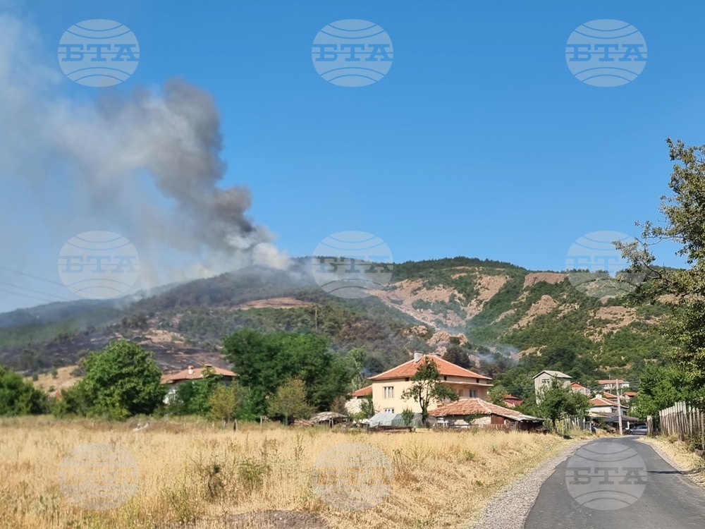 Образувано е досъдебно производство за пожара край кърджалийското село Звезделина