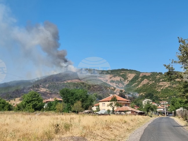 Образувано е досъдебно производство за пожара край кърджалийското село Звезделина