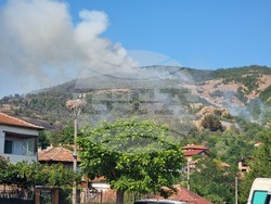 Село Звезделина - смесен горски масив - пожар
