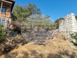 Село Звезделина - смесен горски масив - пожар