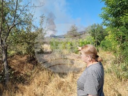 Село Звезделина - смесен горски масив - пожар